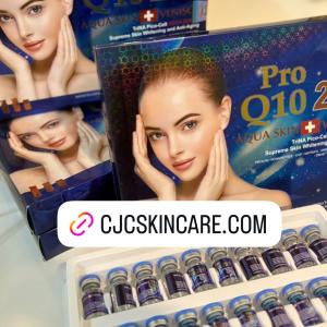 PRO Q10 221 AQUA SKIN + VENISCY